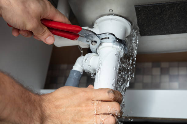Best Mold removal after water damage  in Sho Creek, AL