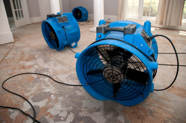 Best Water damage restoration near me  in Sho Creek, AL
