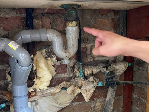 Water damage restoration experts in Shoal Creek, AL